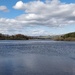 View across the reservoir by roachling