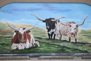7th Apr 2021 - Longhorns Mural In Plains, Montana