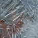 Ice Fractal by glennharper