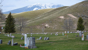 8th Apr 2021 - View Further Uphill From Plains Cemetery