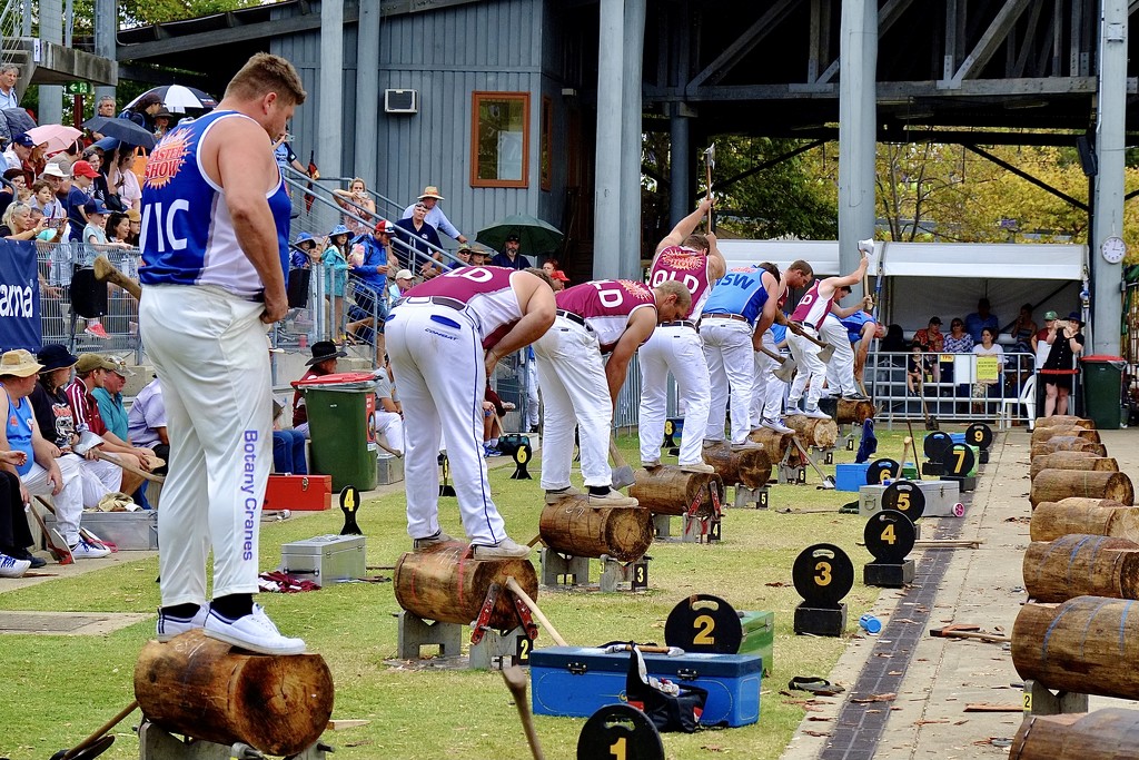 RAS Royal Easter Show woodchopping by johnfalconer