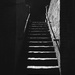 The Avenue Steps  by moonbi