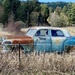 Vintage car in field  by clay88