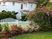 9th Apr 2021 - My April tour of Charleston gardens (Part 1)