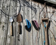 9th Apr 2021 - Ready & waiting.....garden tools.