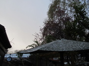 6th Apr 2021 - End of a snow shower