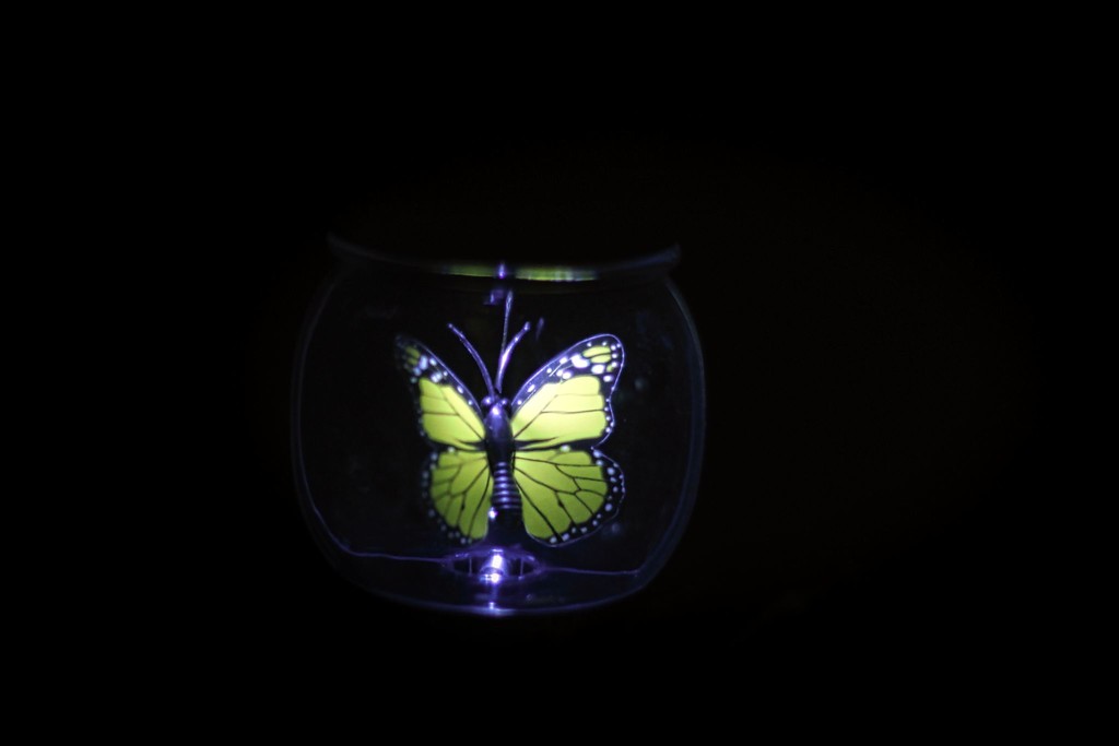 Butterfly in a Jar by judyc57