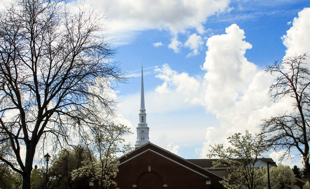 Church steeple with spring trees by mittens