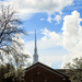 Church steeple with spring trees by mittens