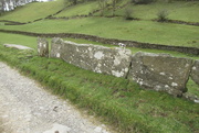 10th Apr 2021 - the cows aren't out in Longsleddale yet