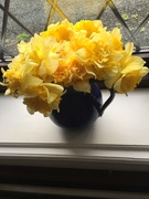 10th Apr 2021 - Daffodils 