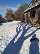 10th Apr 2021 - White and shadow 