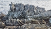 11th Apr 2021 - Rock formation at Kaikoura S. I.