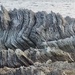 Rock formation at Kaikoura S. I. by Dawn