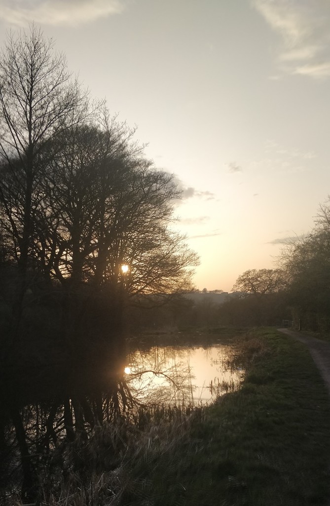 Evening walk along the canal by roachling
