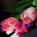 tulips make me want to paint by cristinaledesma33