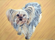 11th Apr 2021 - Dog (painting)