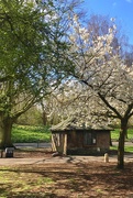 10th Apr 2021 - Spring hut