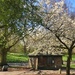 Spring hut by pattyblue