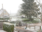 12th Apr 2021 - Snowing this morning