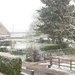 Snowing this morning by jon_lip