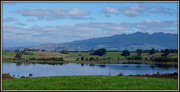 12th Apr 2021 - Waikato countryside