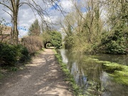 12th Apr 2021 - Afternoon Canal Walk