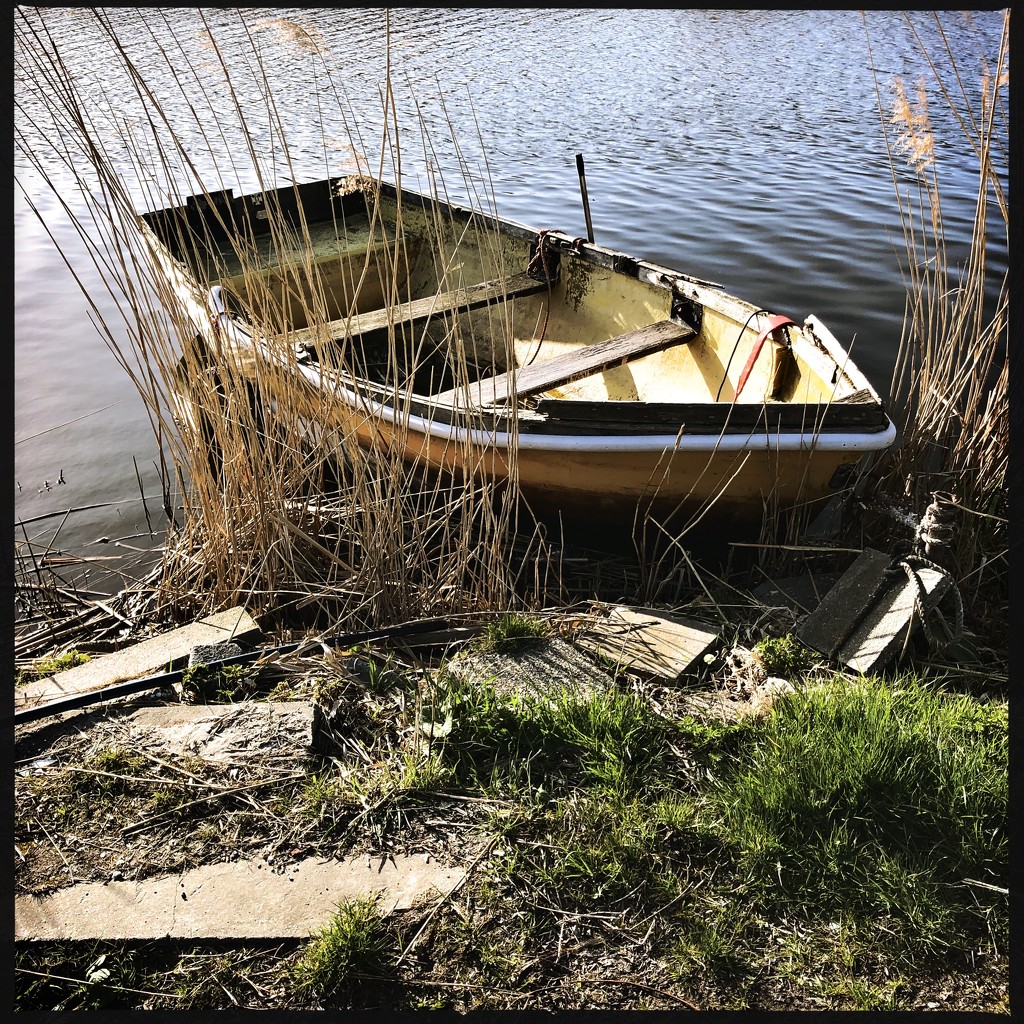 Row the boat ashore by mastermek