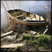 14th Apr 2021 - Row the boat ashore