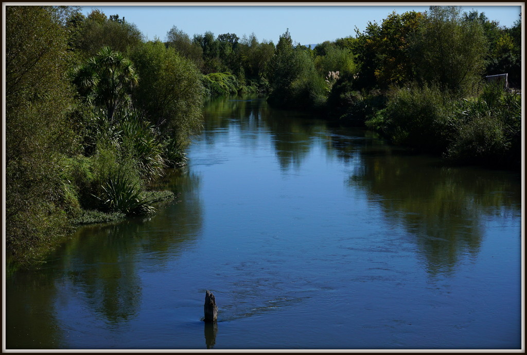 Waihou River by dide