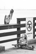 9th Apr 2021 - A Girl and her Pelican