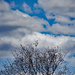 Spring sky by larrysphotos