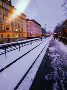 3rd Dec 2020 - Sníh