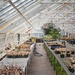 The green house by batfish