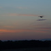 Sunset Cessna by timerskine