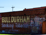 19th Apr 2021 - Bull Durham