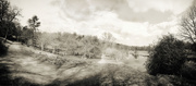 14th Apr 2021 - Winkworth Arboretum panorama