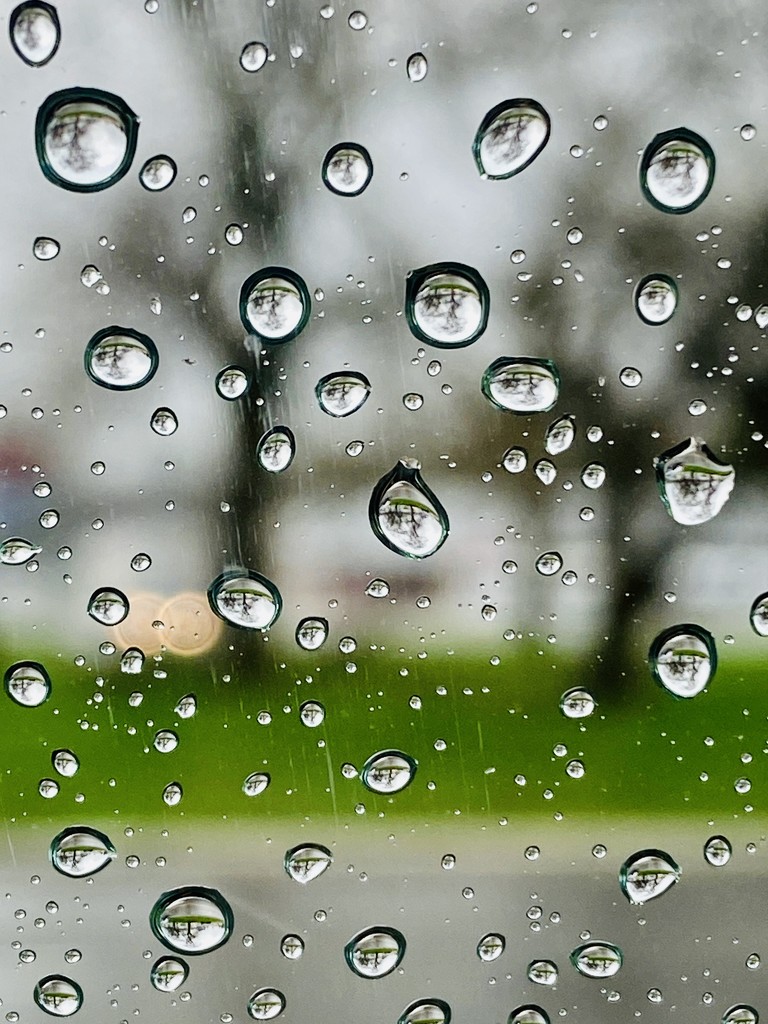Water - Rain Drops by njmom3