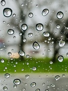 15th Apr 2021 - Water - Rain Drops