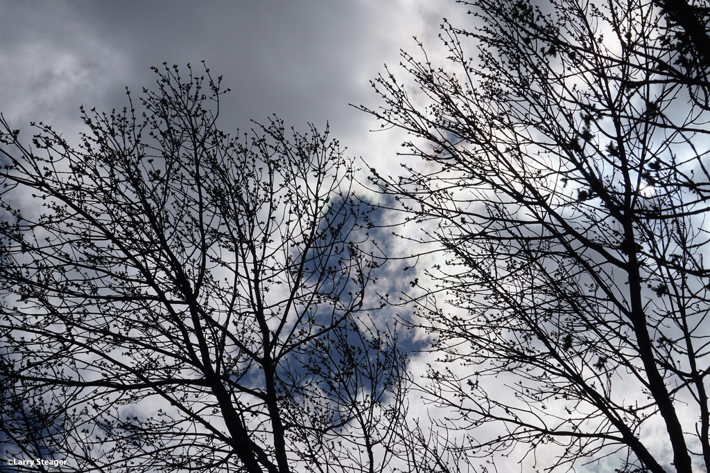 Clouds sailing along by larrysphotos