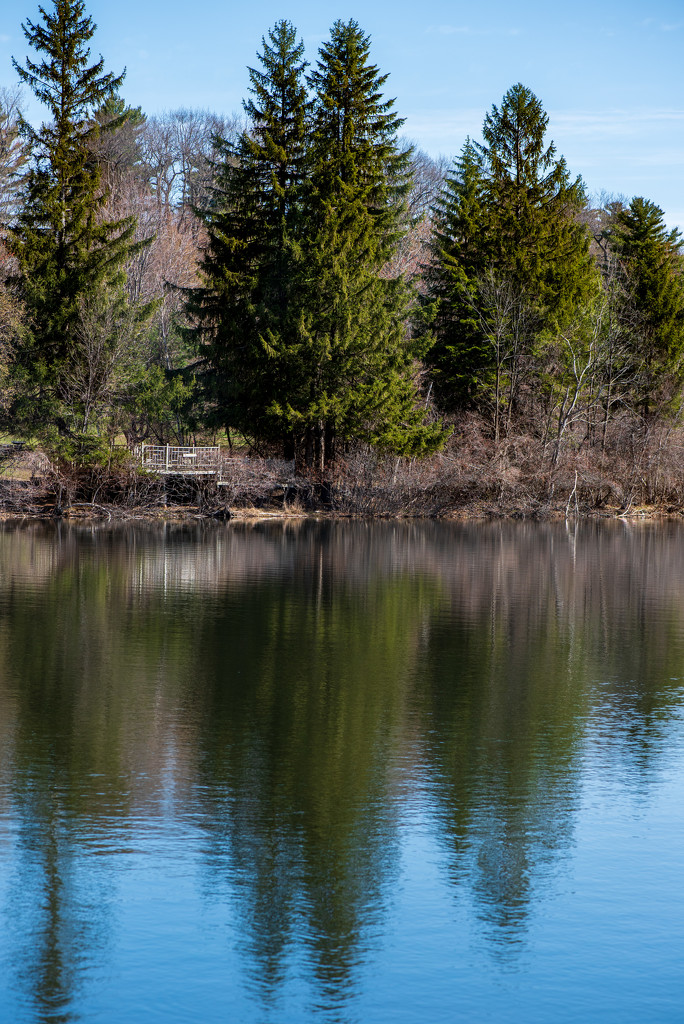Reflections on Lac du Moulin, St. Bruno by dora