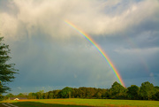 10th Apr 2021 - Spring rainbow...