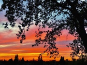 17th Apr 2021 - A Sunset Paints the Sky