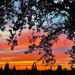 A Sunset Paints the Sky by gardenfolk
