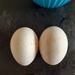 Goose eggs for lunch by sarah19