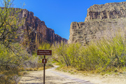 16th Apr 2021 - Canyon Trail