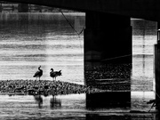 16th Apr 2021 - under a bridge 