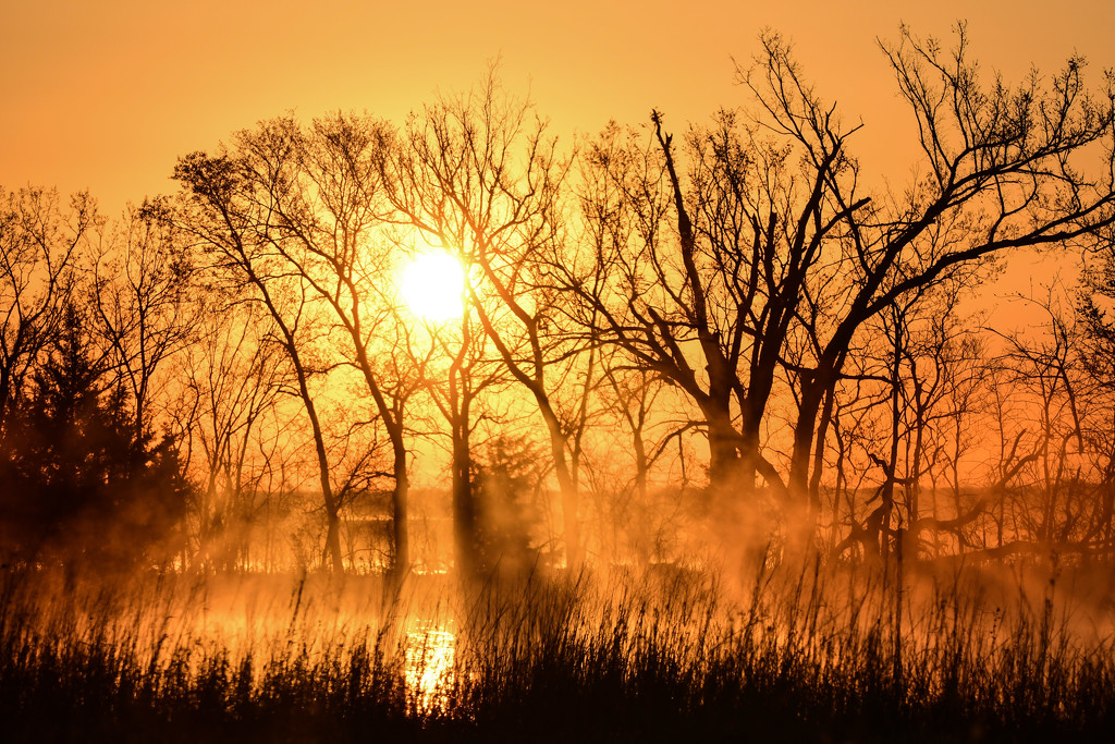 Baker Wetlands Sunrise 4-11-21 by kareenking