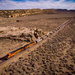 Coal Train and Red Rocks by jeffjones