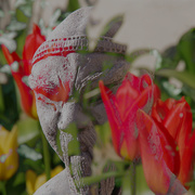 17th Apr 2021 - Buddah in the Tulips